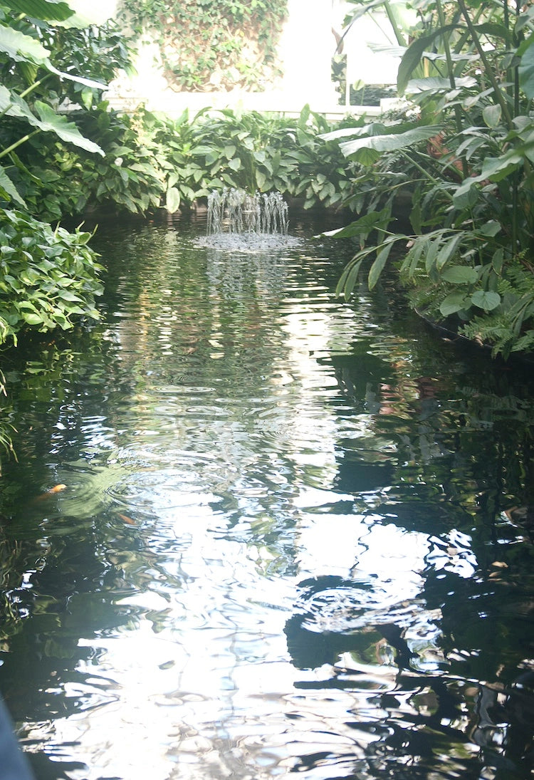 Without polarization